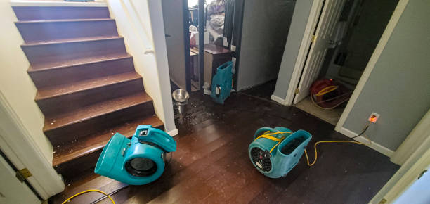 Best Water damage cleanup near me  in East Sparta, OH