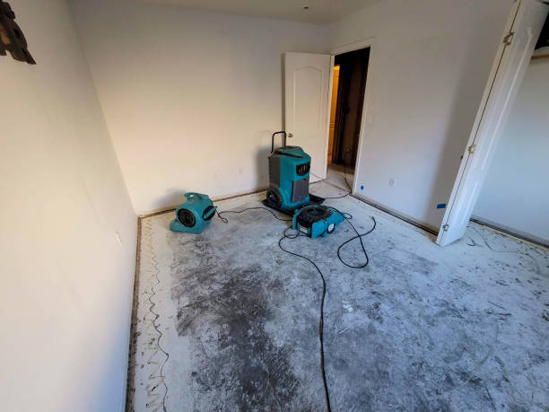 Best Commercial water damage restoration  in East Sparta, OH