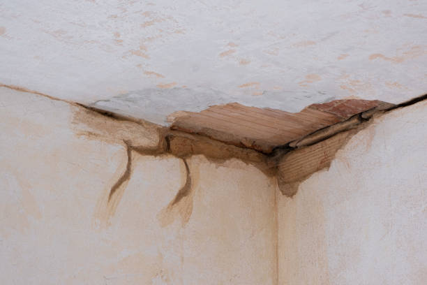 Best 24/7 water damage repair  in East Sparta, OH