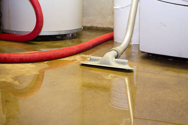 Best Professional water damage repair  in East Sparta, OH
