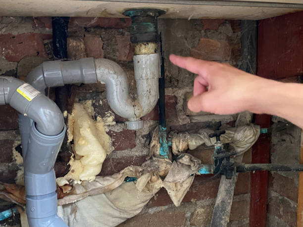 Best Fire Damage Restoration  in East Sparta, OH